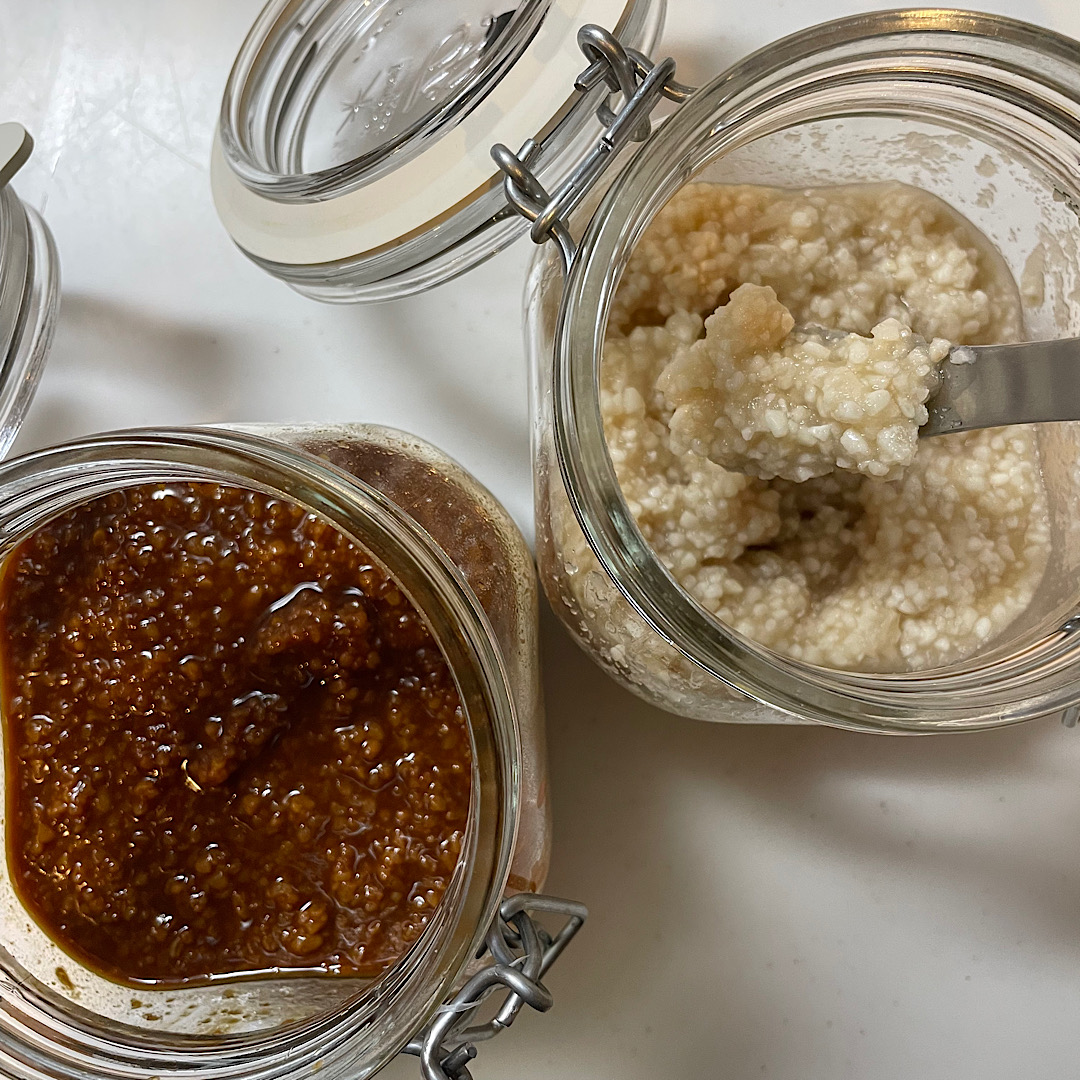 万能調味料! ヨーグルトメーカーで簡単【手づくり醤油麹】で家族の免疫力アップ