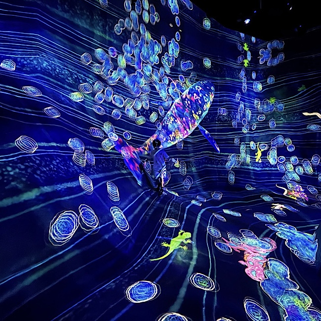 家族で楽しめる【チームラボプラネッツ豊洲】美しい光のアートの空間