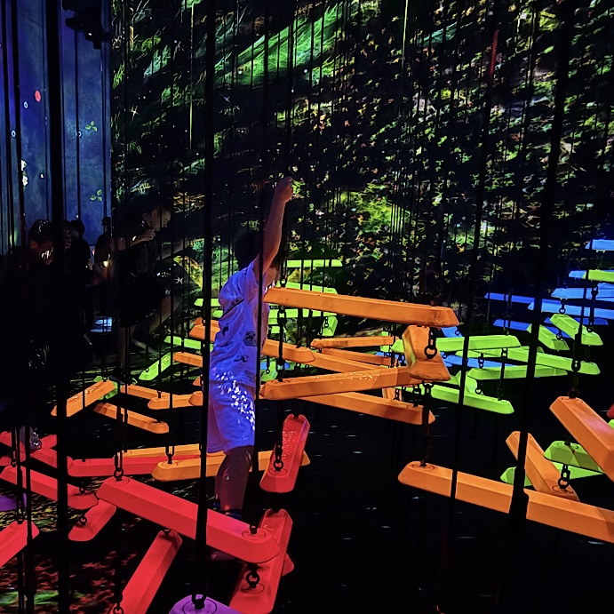家族で楽しめる【チームラボプラネッツ豊洲】光のアスレチックのような運動の森