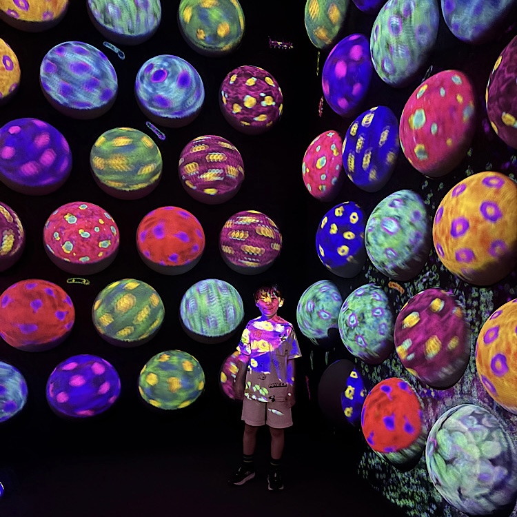 家族で楽しめる【チームラボプラネッツ豊洲】光のアスレチックのような運動の森