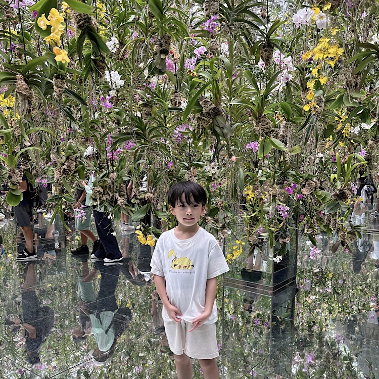 家族で楽しめる【チームラボプラネッツ豊洲】花と光の空間