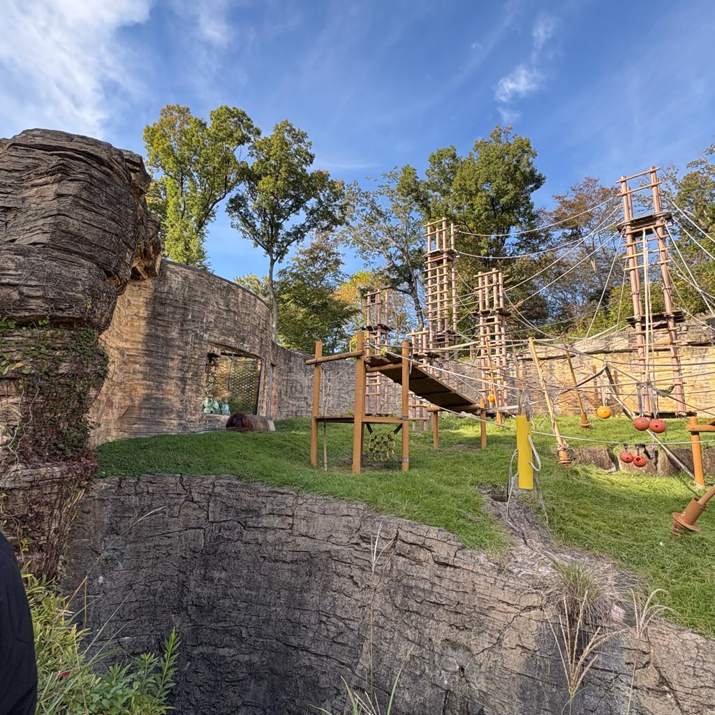 多摩動物公園
子連れおでかけ
家族でおでかけ
動物園
オランウータン
