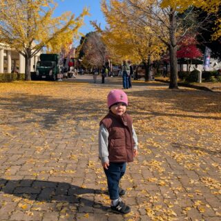 今が紅葉見頃！ぐるりん号で【秩父ミューズパーク】へ。紅葉×遊具×グルメを満喫！