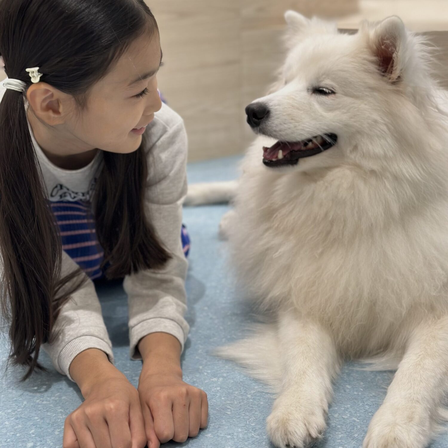【浅草】子連れok！ワンちゃんに癒される話題のスポット！「サモエドカフェ アル」