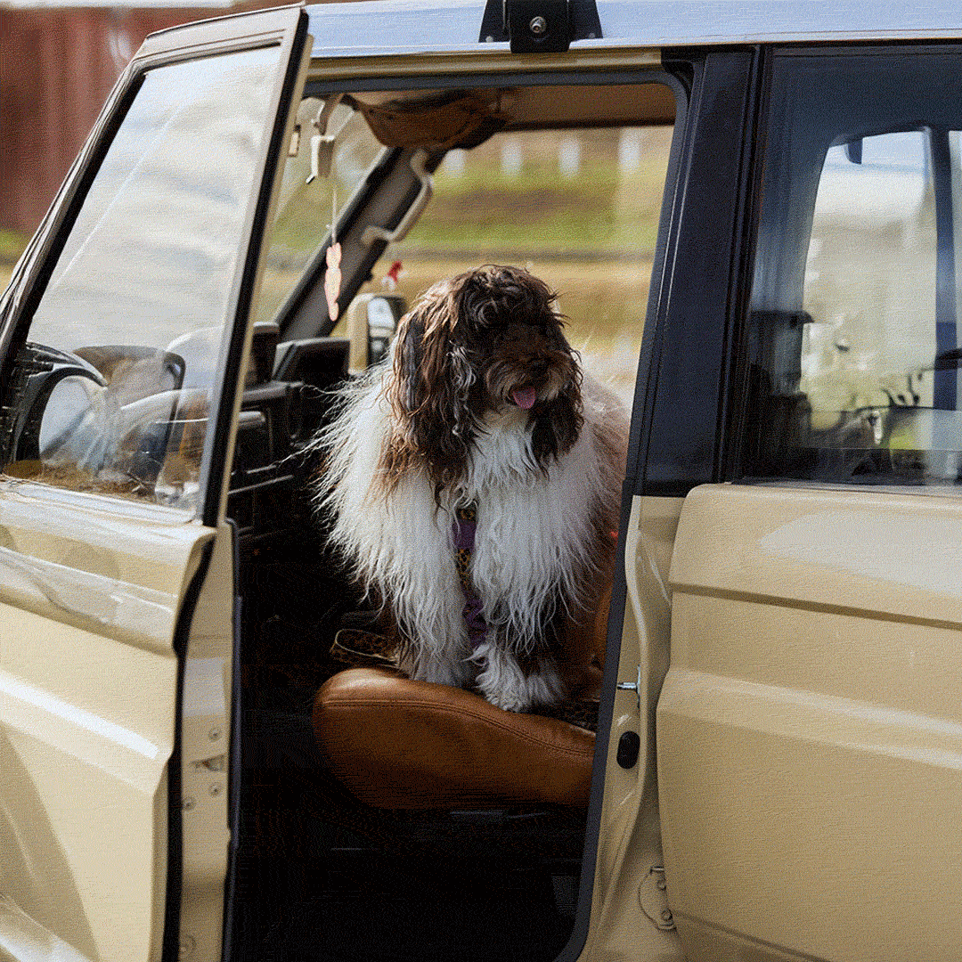 購入先や乗り心地は？ヴィンテージ好き家族のファミリーカーSNAP。