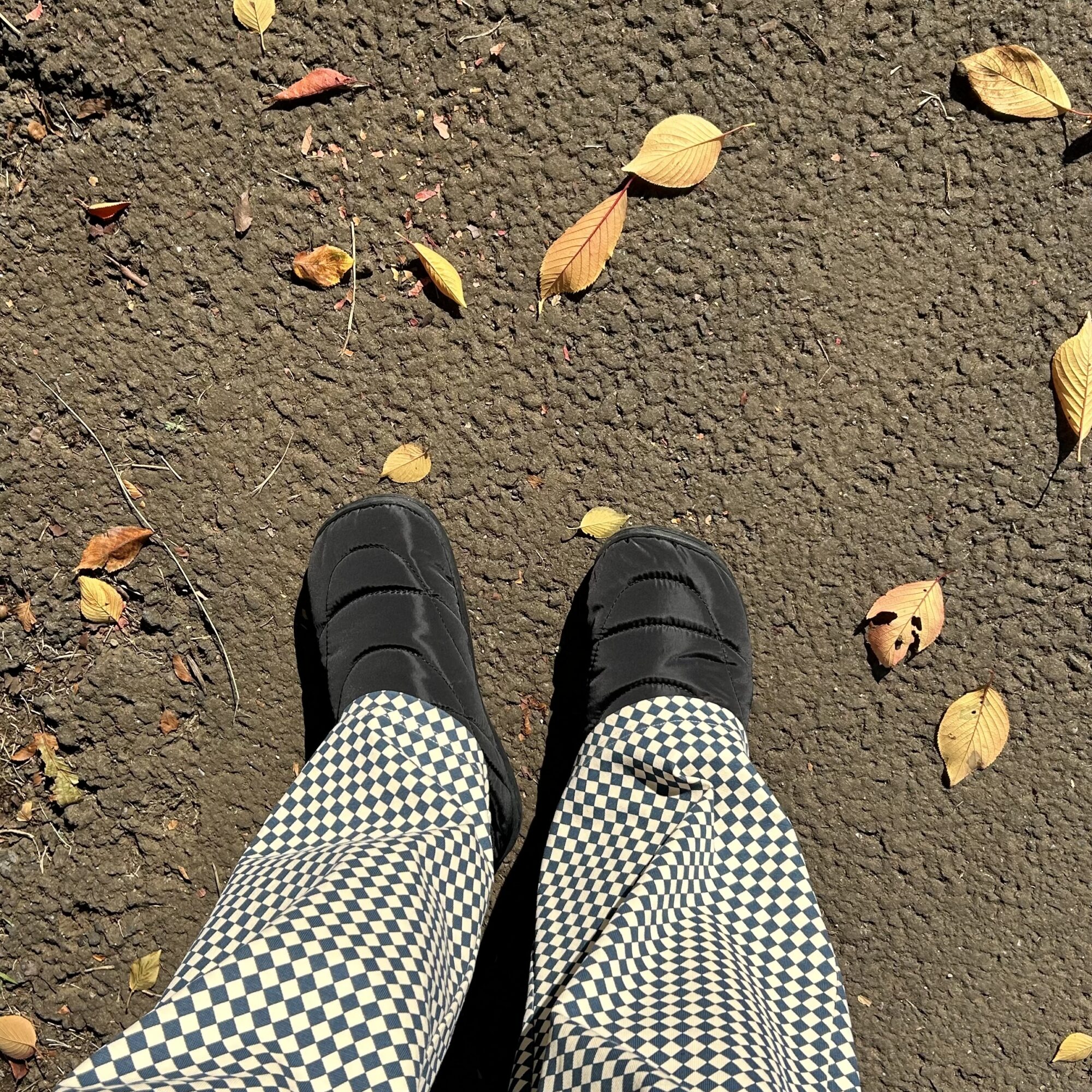 まるでSUBU!?【ワークマン】1,780円で買えちゃうあったかスリッポンが優秀すぎた