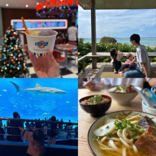 【0・2歳と行く冬の沖縄②】授乳室ありのアイス屋、空港5分の公園…リピ確定の立ち寄りスポット