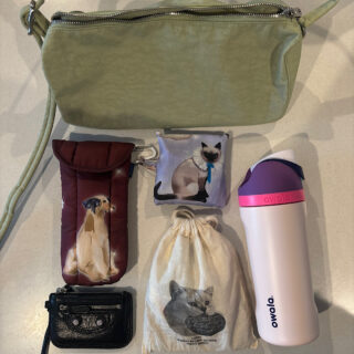 個人輸入してでも欲しい！ 【baggu】づくしのバッグの中身紹介