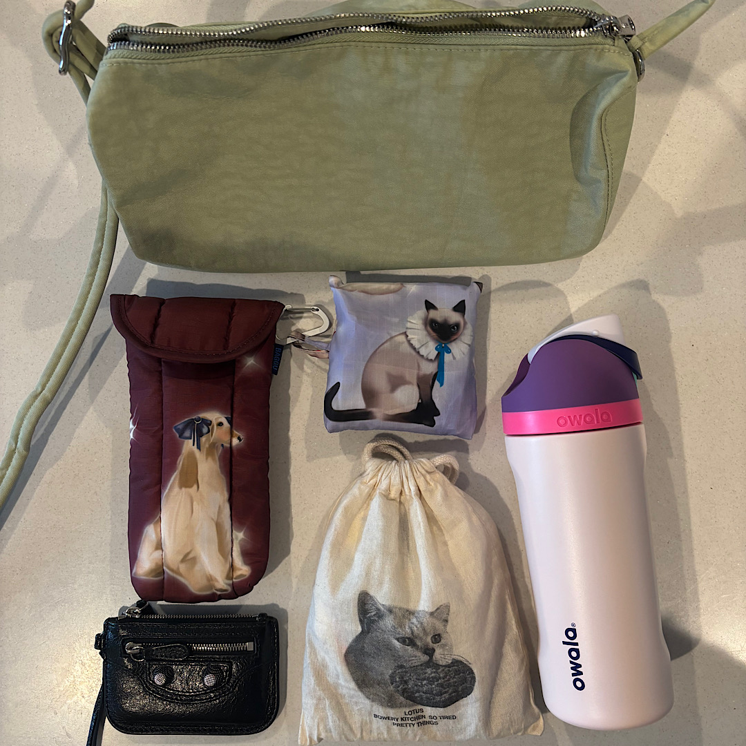 個人輸入してでも欲しい！ 【baggu】づくしのバッグの中身紹介