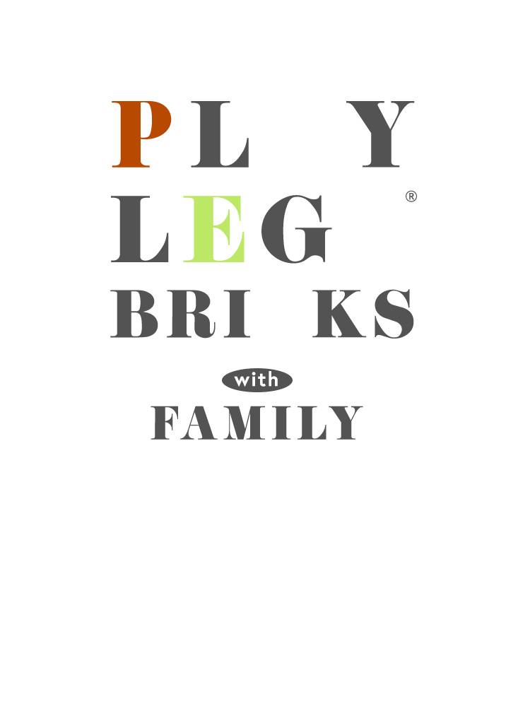 PLAY LEGO BRICKS with FAMILY
